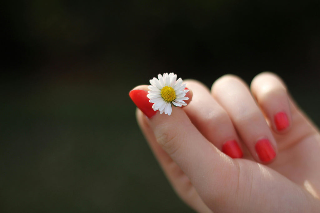 How to Keep Your Dip Powder Nails Perfect for Weeks